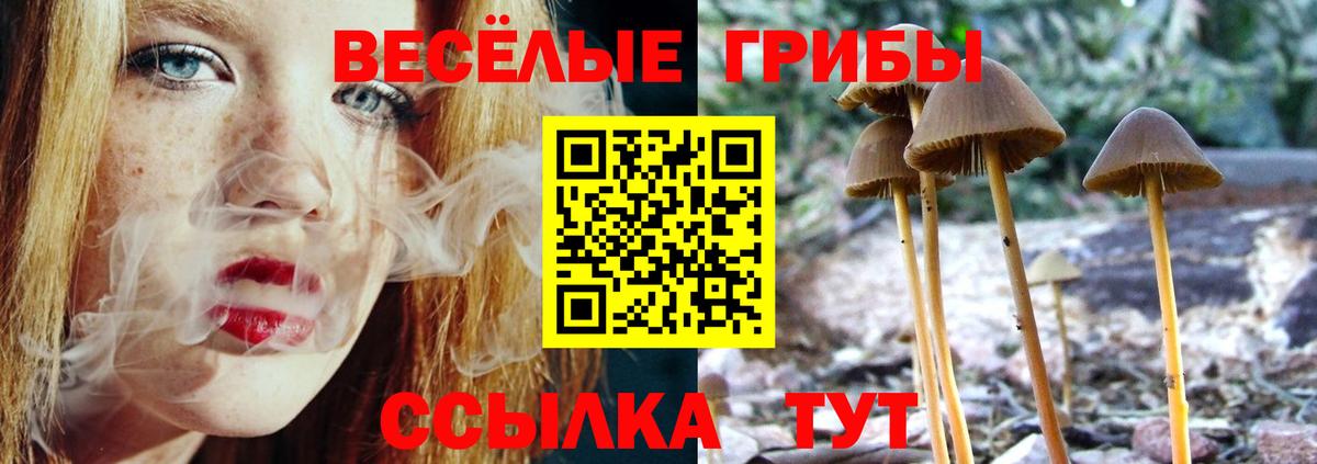Галлюциногенные грибы GOLDEN TEACHER Альметьевск